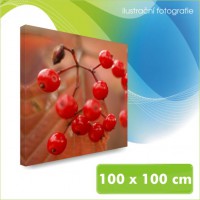 Foto - obraz na plátně, rozměr 100x100 cm