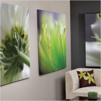 /album/fotogalerie-uvodni-stranka/canvas-wall-art-with-daisy-design-jpg/
