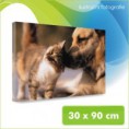 Foto - obraz na plátně, rozměr 30x90 cm