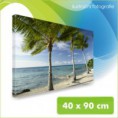 Foto - obraz na plátně, rozměr 40x90 cm